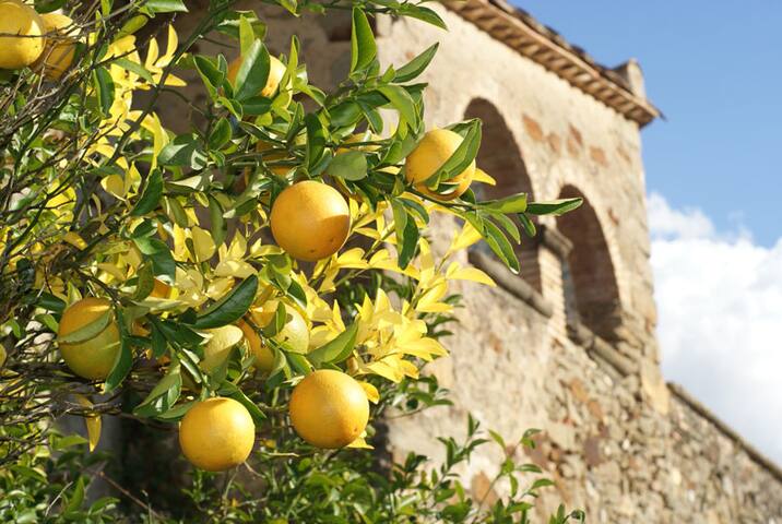 Beautiful Country Villa with pool