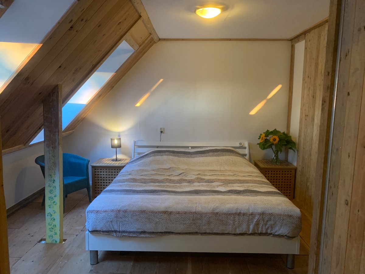 חדר שינה עם מיטה זוגית ושני צוהריים עם תריסי גלילה.