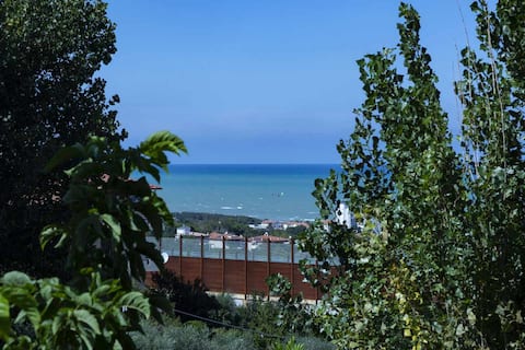 Airbnb con migliori performance: Rodi Apartment a Senigallia