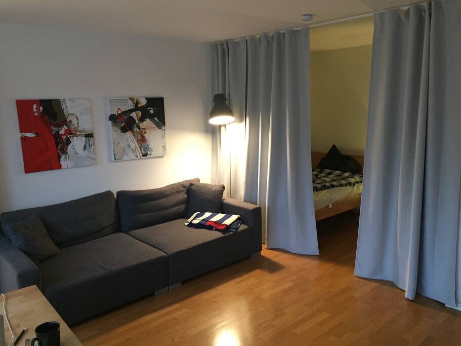 Big comfortable couch and bed for two guests