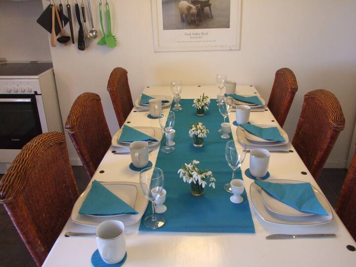 Asaa Vacation Rentals Homes Denmark Airbnb