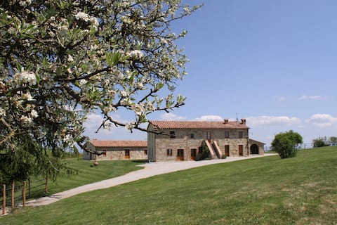 Tuscany dream : Podernuovo