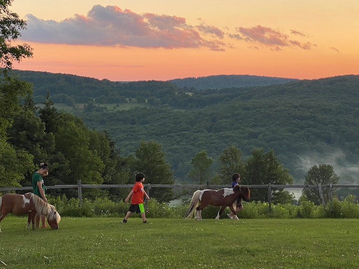 The Winding Road Farm Houses for Rent in Walton, New York, United