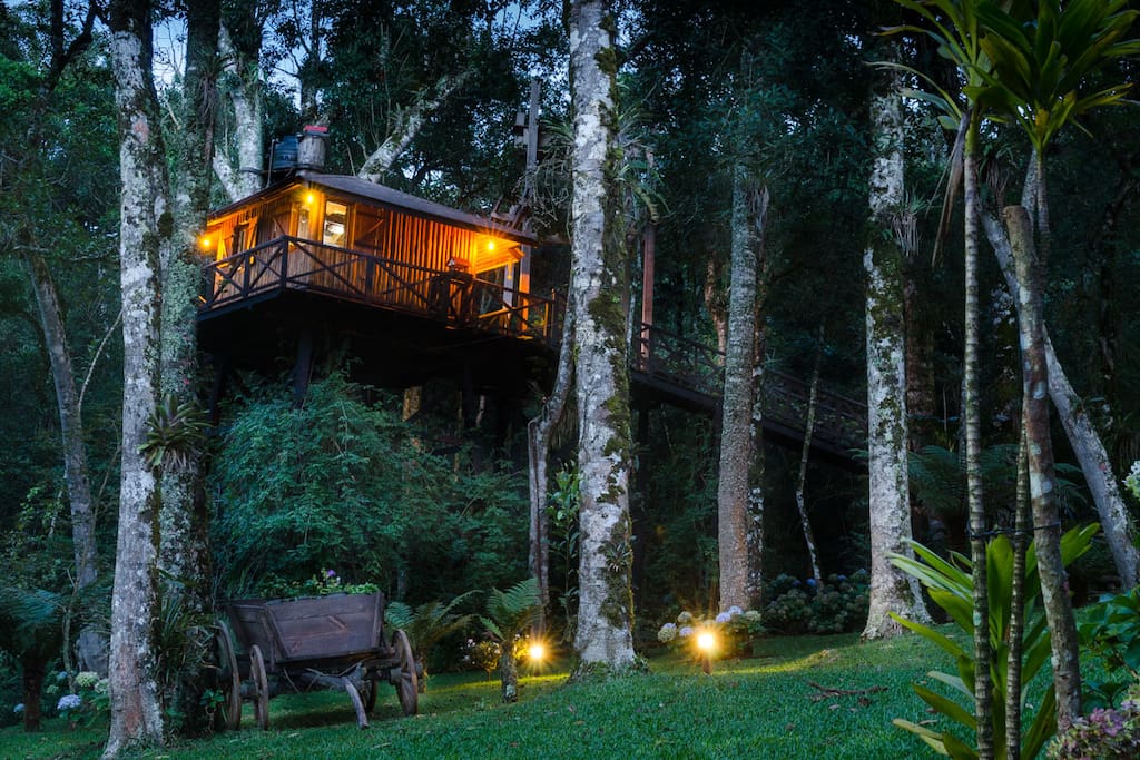 Casa na Árvore (a noite)