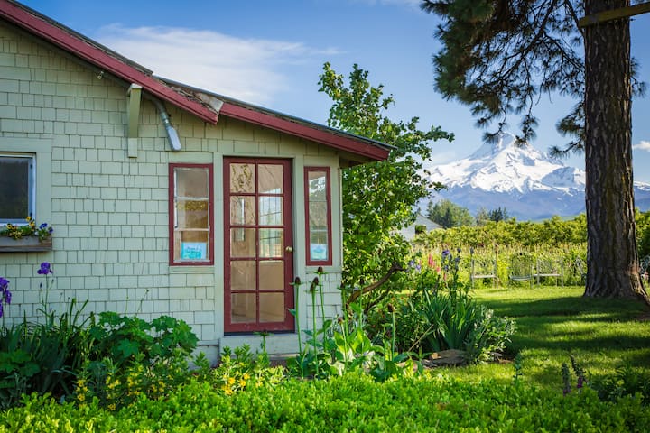 Amazing mountain views from yard