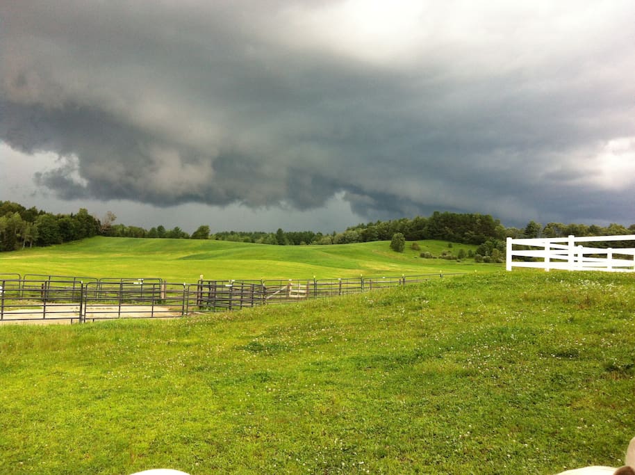 View of the meadows behind the house
