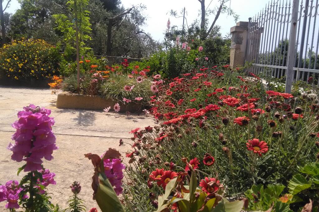 Giardino