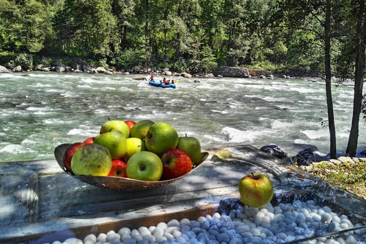 A large bowl filled with an assortment of apples, both red and green, is placed on a wooden table in the foreground. In the background, the Beās River flows gently, with paddlers navigating the rapids, surrounded by lush greenery.