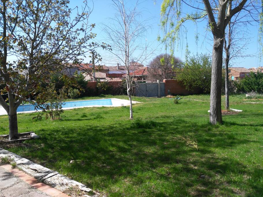 Terreno y piscina