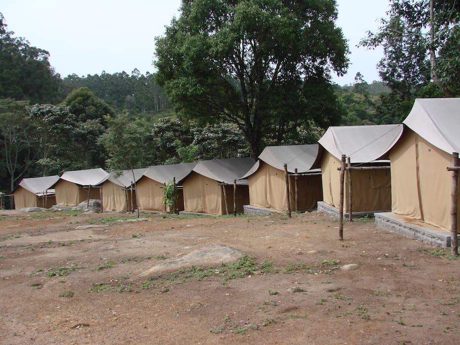 Tent Area