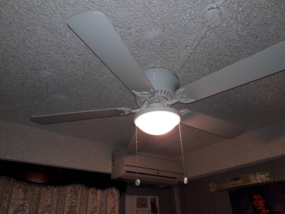 54" Ceiling Fan, Standing Fan and Air Condition for maximum comfort in Room
Also, room is served with 2 large 4feet windows