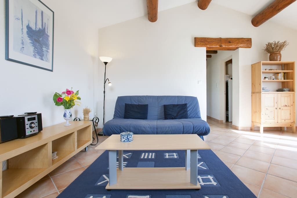 Arles, la Provence, calm & lovely. Houses for Rent in Arles, ProvenceAlpesCôte d'Azur, France