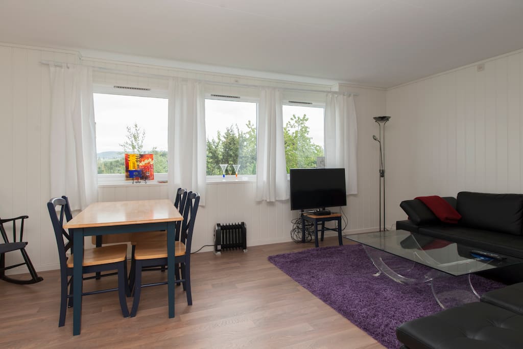 Stua. Tre store vinduer mot hage og utsikt mot Levanger sentrum. (Nye møbler kommer, og vil bli vist i nye bilder etter 1.juli) The livingroom (It will be different sofa, rug, sofatable, tv and lamp. Will com with new photos after july 1st.)