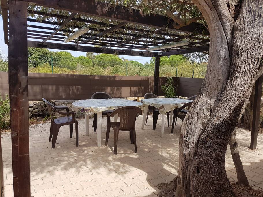 La pergola et l'espace Repas Extérieur