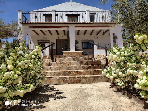 Successful Airbnb property: Chalet "Aire Libre" in Albacete
