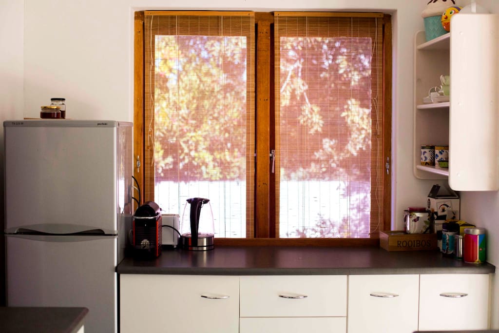 Kitchen with large windows