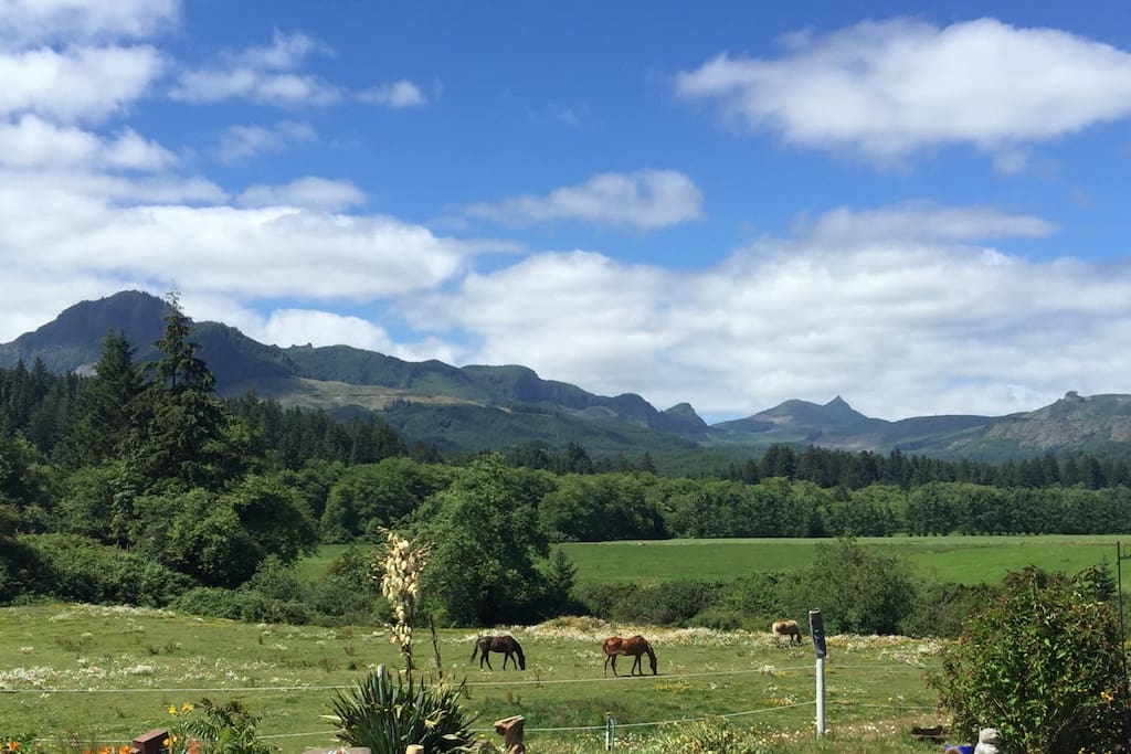 Bed And Breakfast Nehalem Bed And Breakfast Nehalem