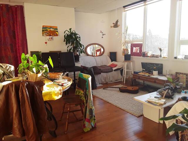 Large Bright Apartment any convenience