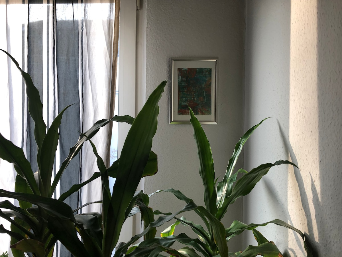 Lush green plants are positioned near a window, creating a natural setting. Sheer curtains allow soft light to filter in, illuminating a framed piece of art on the wall. The overall composition offers a serene and inviting corner of the apartment.