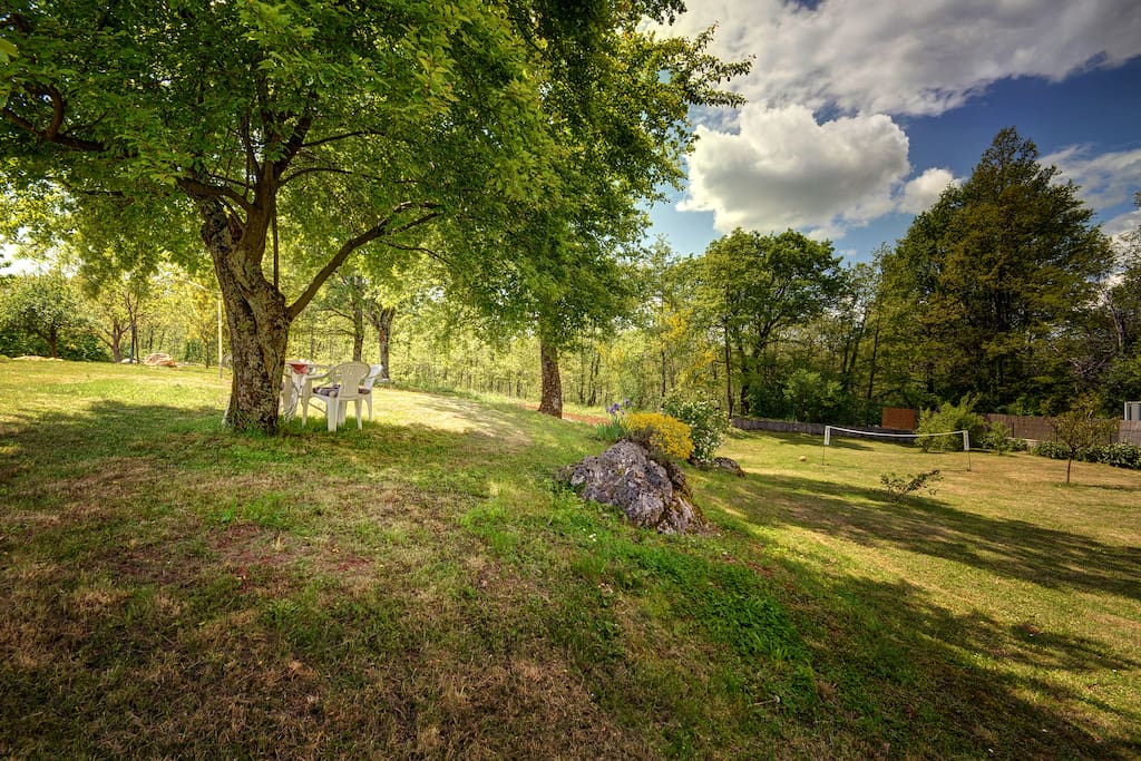 6 000 m2 large garden area with a forrest