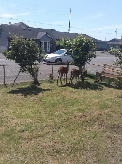 Small Town Charm