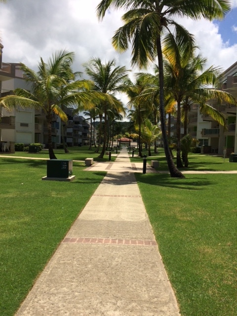 A clean pathway is bordered by manicured grass and palm trees, leading to a gazebo in the distance. Surrounding buildings share a unified architectural style, enhancing the serene ambiance of the outdoor space.