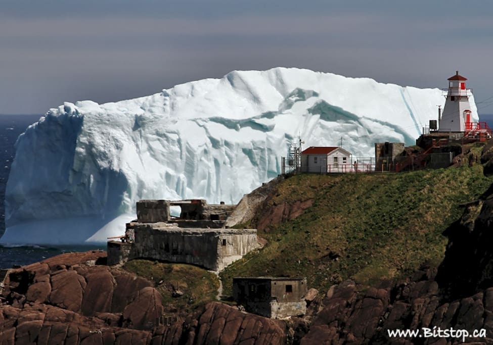 Iceberg at the mouth of the harbour