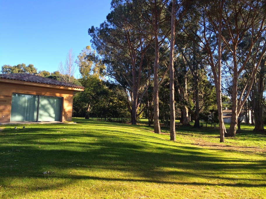 Beautiful luxury villa in a landscaped park