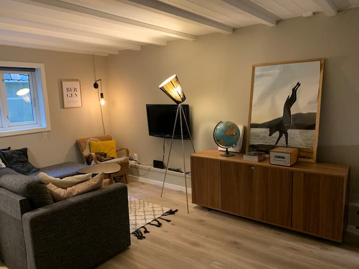 Kjellerstue med sovesofa/ מרתף עם ספת שינה