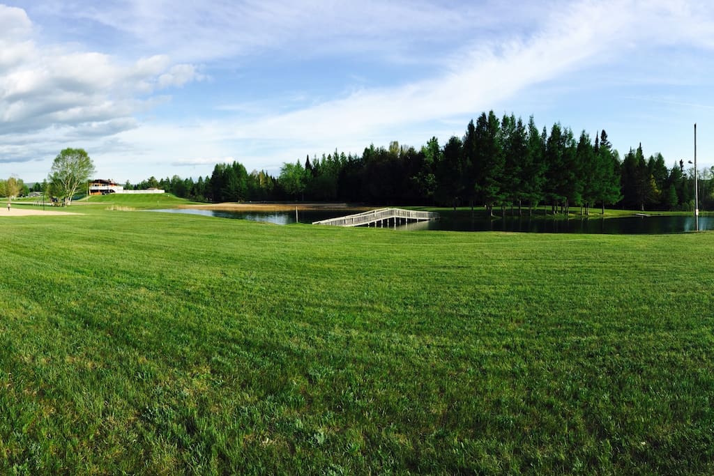 Community swimming pool, volleyball court, playground and stocked fishing pond attached to the property.