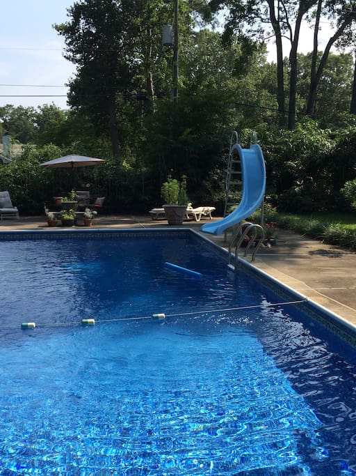 Take a dip in our backyard pool