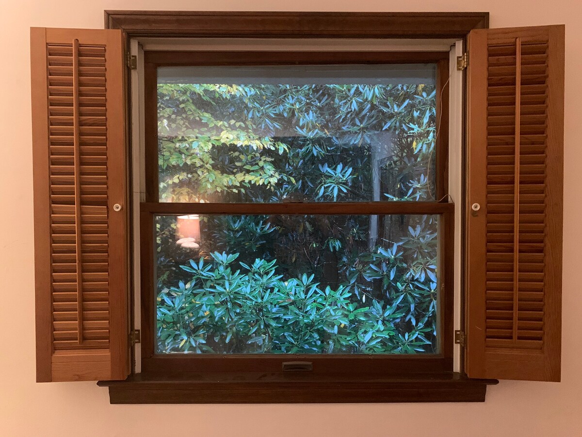 Treetop Retreat שקט ומיוער. 