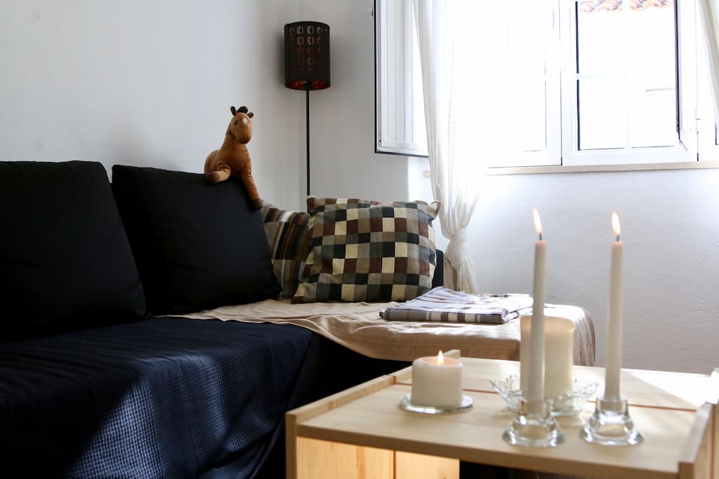 Living room. The couch can be converted into a bed