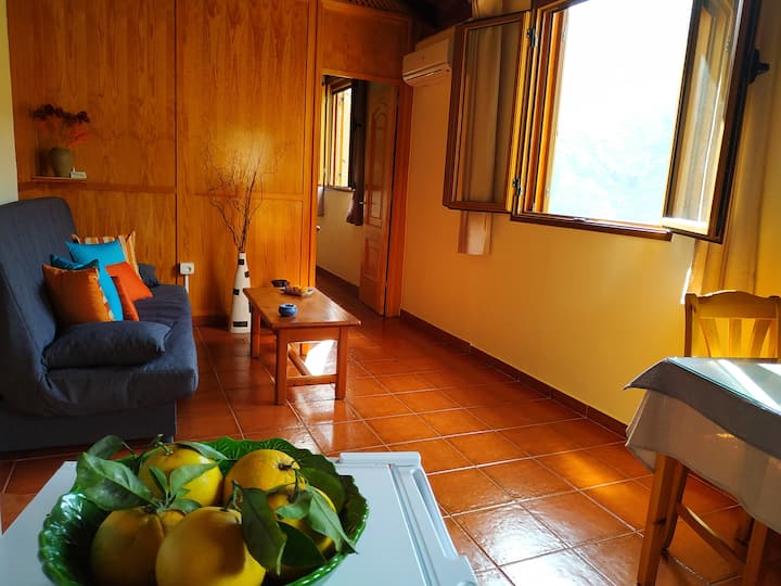 Casa La Torna-confortable Con Magníficas Vistas. - La Gomera