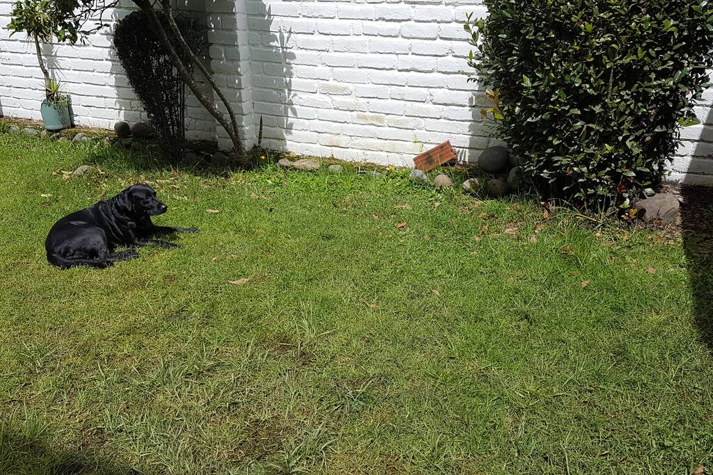 Jardin
