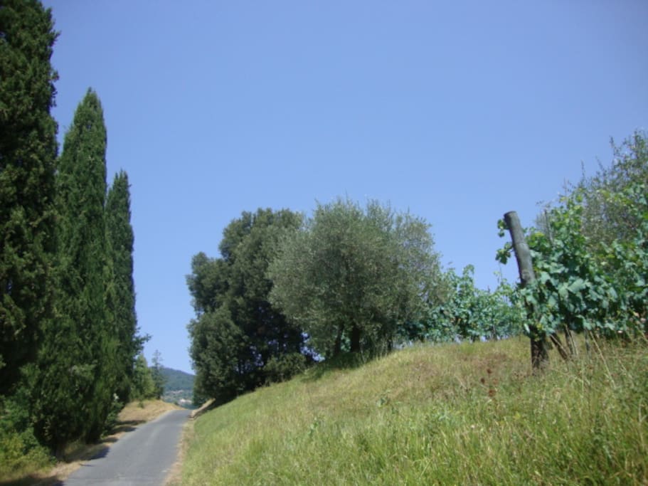 Panorama in Lunigiana
