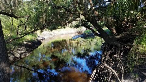 Sleeping cabins on beautiful Horse Creek.