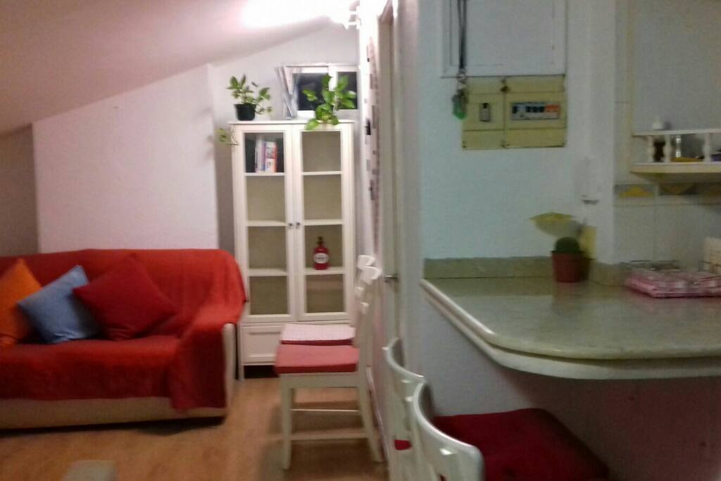 salon