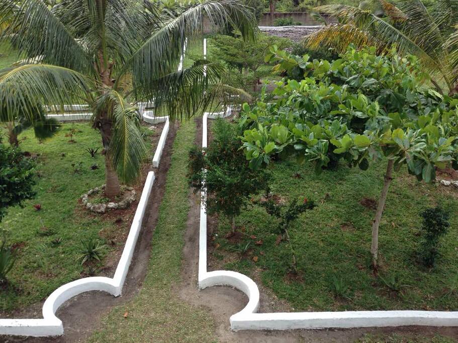 View of the garden.