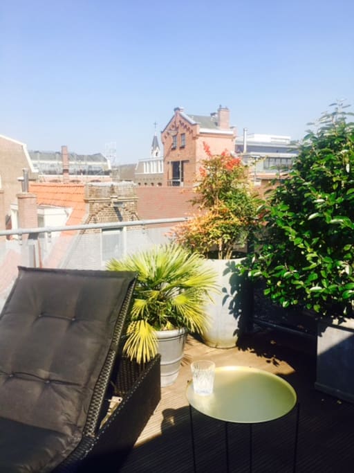 Sunbathe on the roof