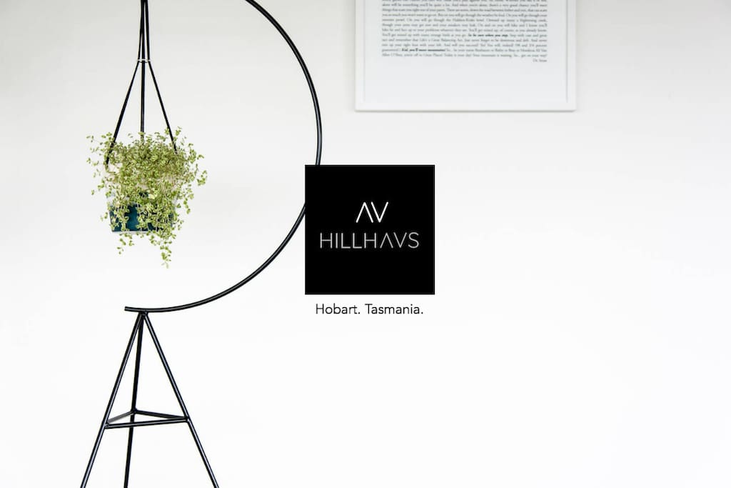 Welcome to Hillhaus.