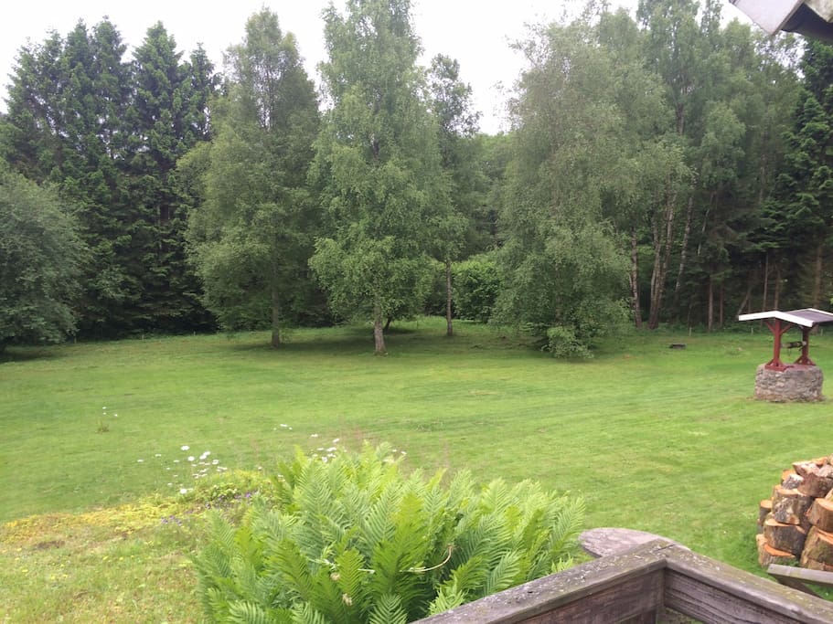 Stor och härlig trädgård