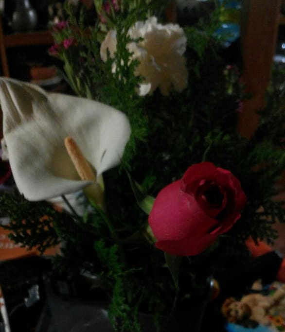 Lindas flores