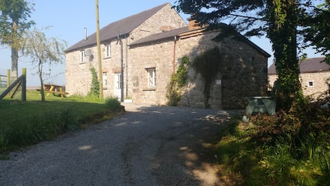 Chestnut house Armagh