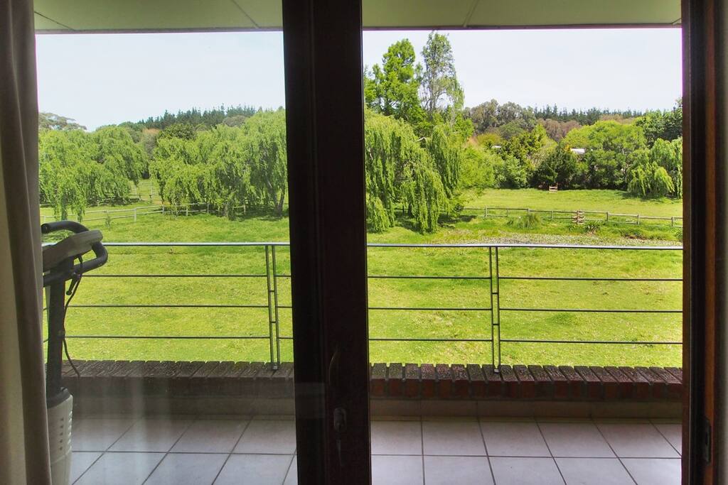 View from master bedroom
