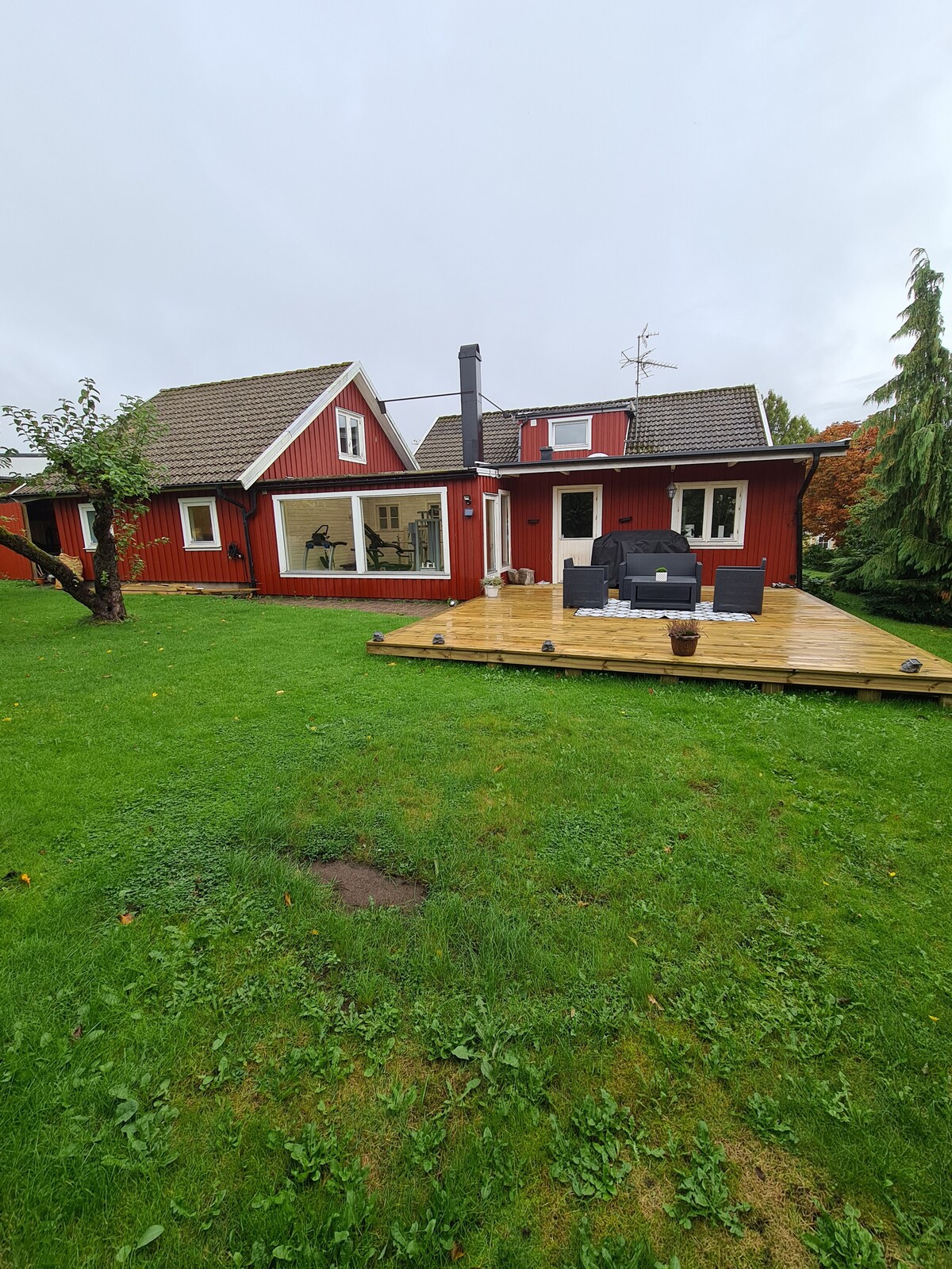 A spacious red house with a wooden deck is surrounded by lush green grass. Large windows reflect the outdoor scenery, and modern seating arrangements are placed on the deck. Trees encompass the area, providing a natural and serene environment.