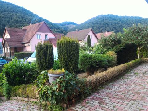 Alsass Online