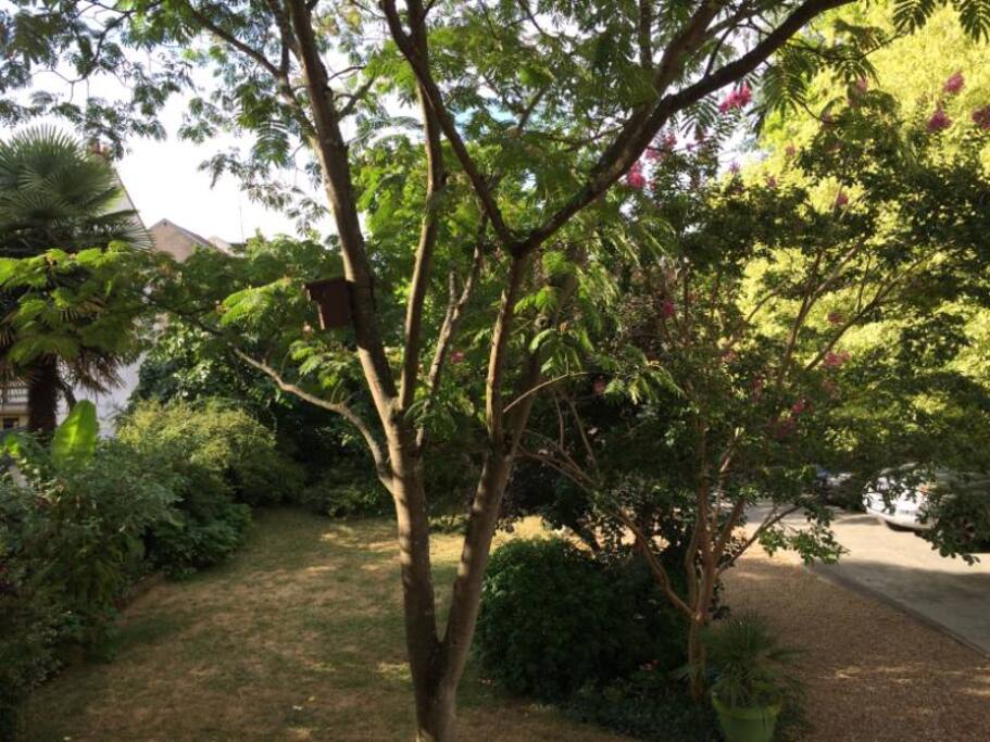 Le jardin