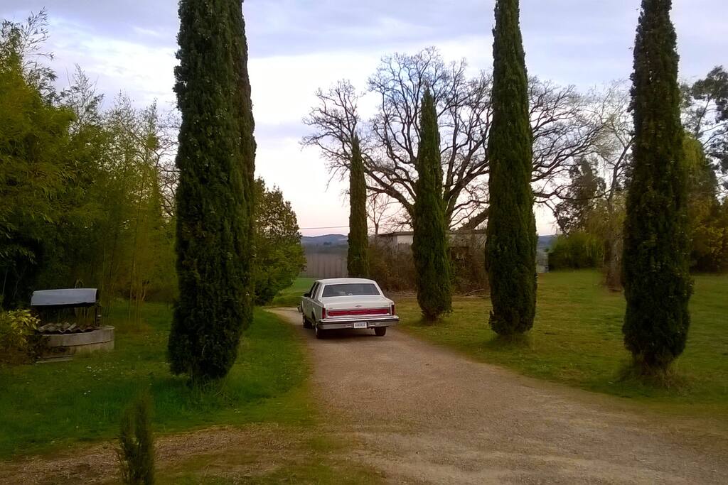 L'allée d'accès