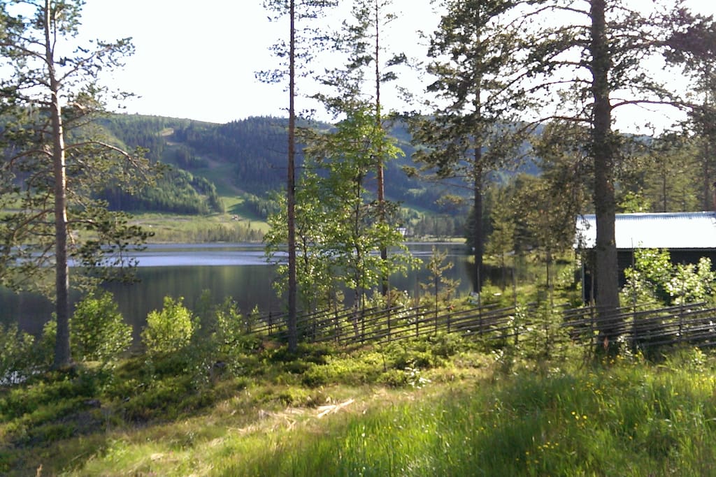 Completely unspoiled nature, still close to the famous food of Jämtland!